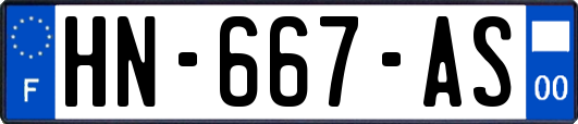 HN-667-AS