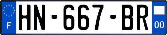 HN-667-BR
