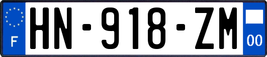 HN-918-ZM