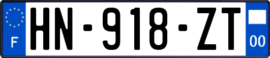 HN-918-ZT