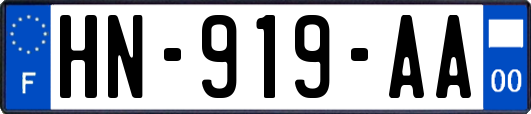 HN-919-AA