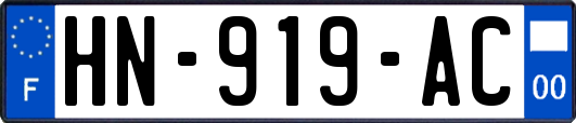 HN-919-AC