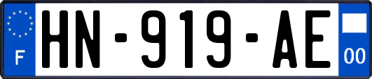 HN-919-AE
