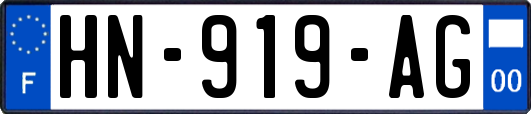 HN-919-AG