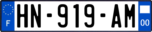 HN-919-AM
