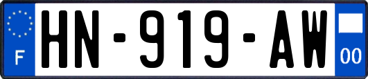 HN-919-AW