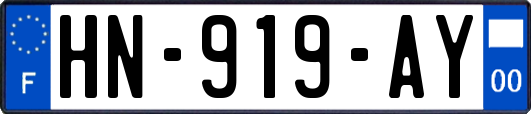 HN-919-AY