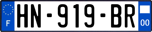 HN-919-BR