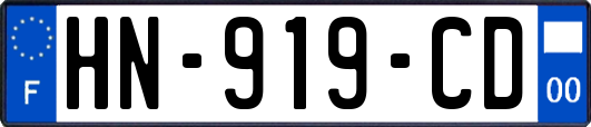 HN-919-CD