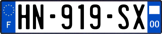 HN-919-SX