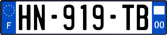 HN-919-TB
