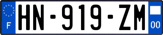 HN-919-ZM