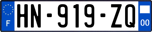 HN-919-ZQ