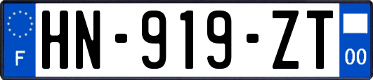 HN-919-ZT