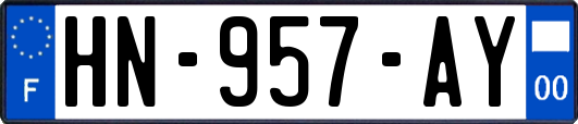 HN-957-AY
