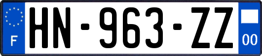 HN-963-ZZ