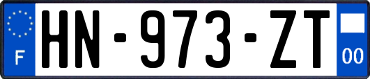 HN-973-ZT