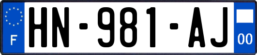 HN-981-AJ