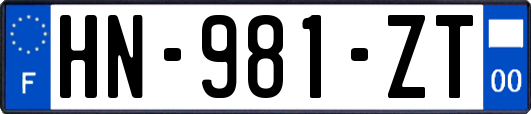 HN-981-ZT