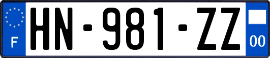 HN-981-ZZ