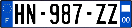 HN-987-ZZ