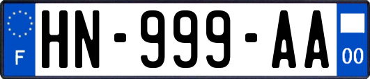 HN-999-AA
