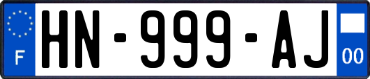 HN-999-AJ