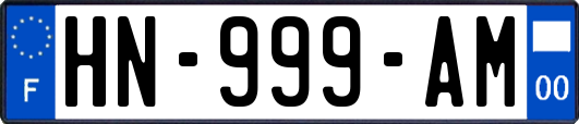 HN-999-AM