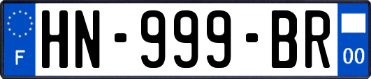 HN-999-BR