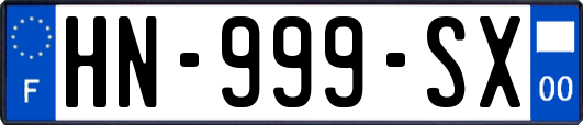 HN-999-SX