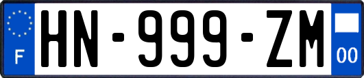 HN-999-ZM