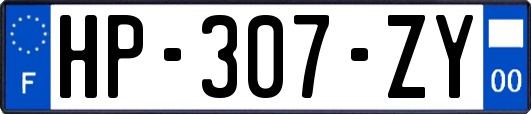 HP-307-ZY