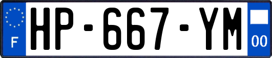 HP-667-YM