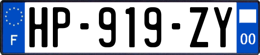 HP-919-ZY