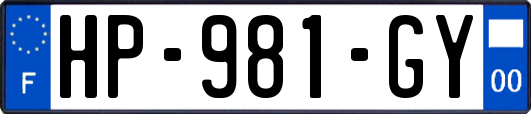 HP-981-GY