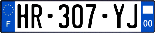 HR-307-YJ