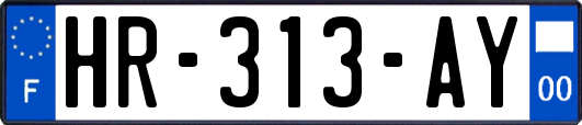 HR-313-AY