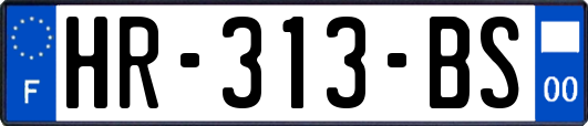 HR-313-BS