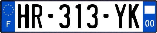 HR-313-YK