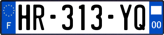 HR-313-YQ