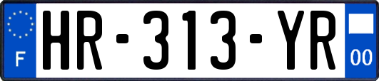 HR-313-YR