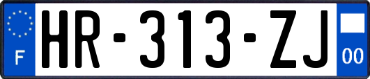 HR-313-ZJ