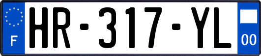 HR-317-YL