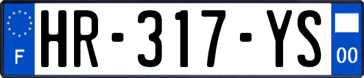 HR-317-YS