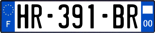 HR-391-BR