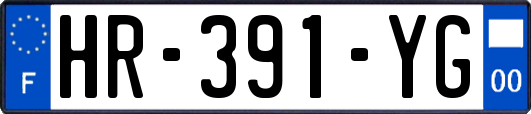 HR-391-YG