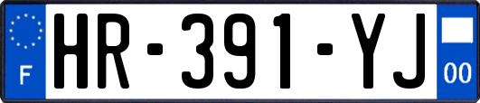 HR-391-YJ