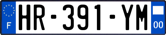 HR-391-YM