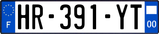 HR-391-YT