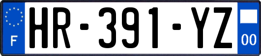 HR-391-YZ